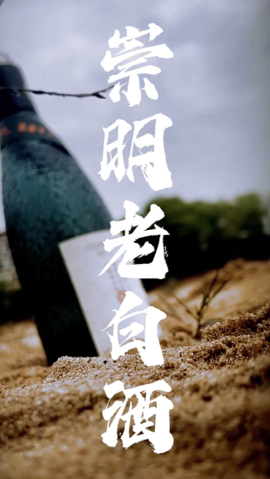 “上海崇明老白酒”新媒體營銷策劃案